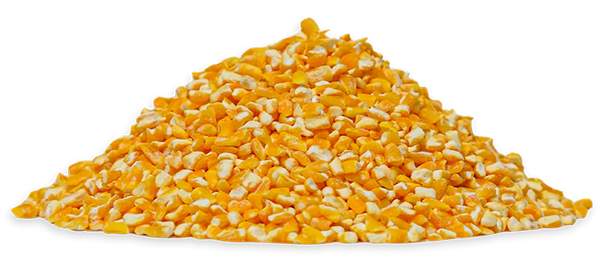 Yellow CORN Maize 25 kg