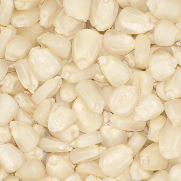White CORN Maize 25 kg